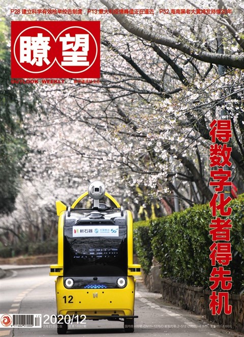 《瞭望》